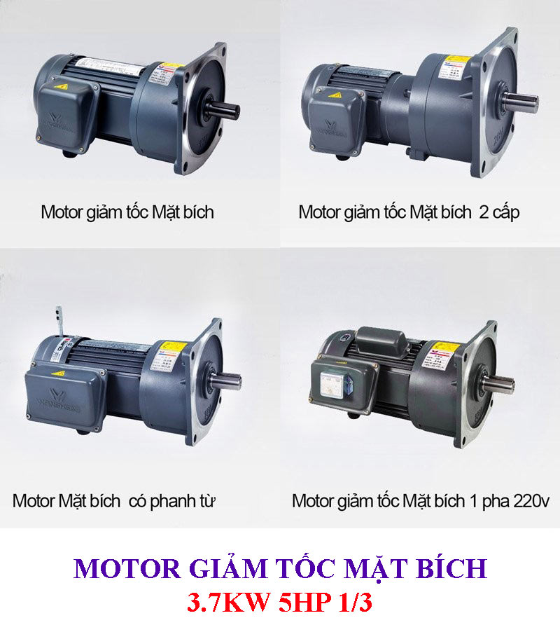 Motor giảm tốc mặt bích 3.7Kw 5Hp 1/3