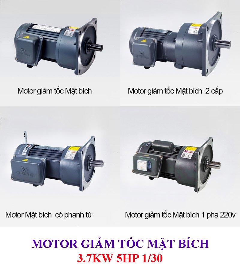 Motor giảm tốc mặt bích 3.7Kw 5Hp 1/30