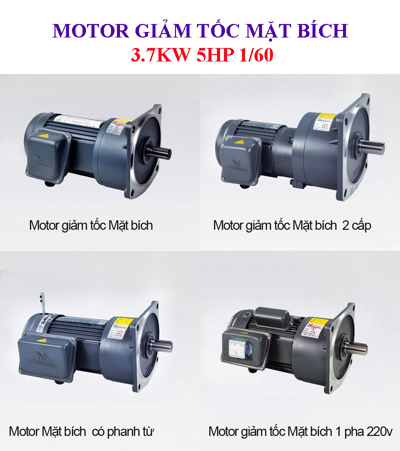 Motor giảm tốc mặt bích 3.7Kw 5Hp 1/60