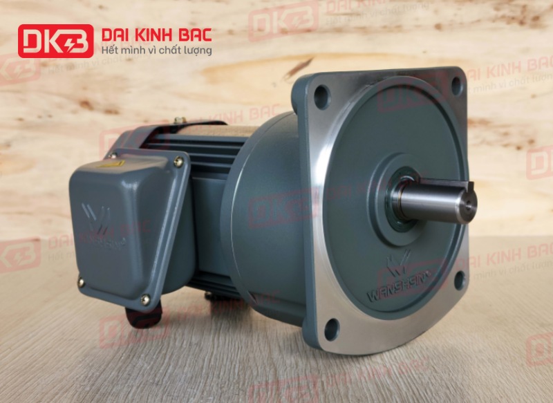 Motor giảm tốc mặt bích Wanshsin GV22-200W-60S