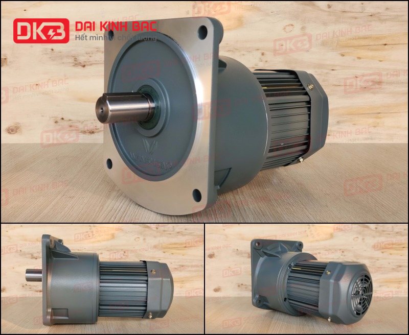 motor-giam-toc-mat-bich-Wanshsin-GV32-400W-100S