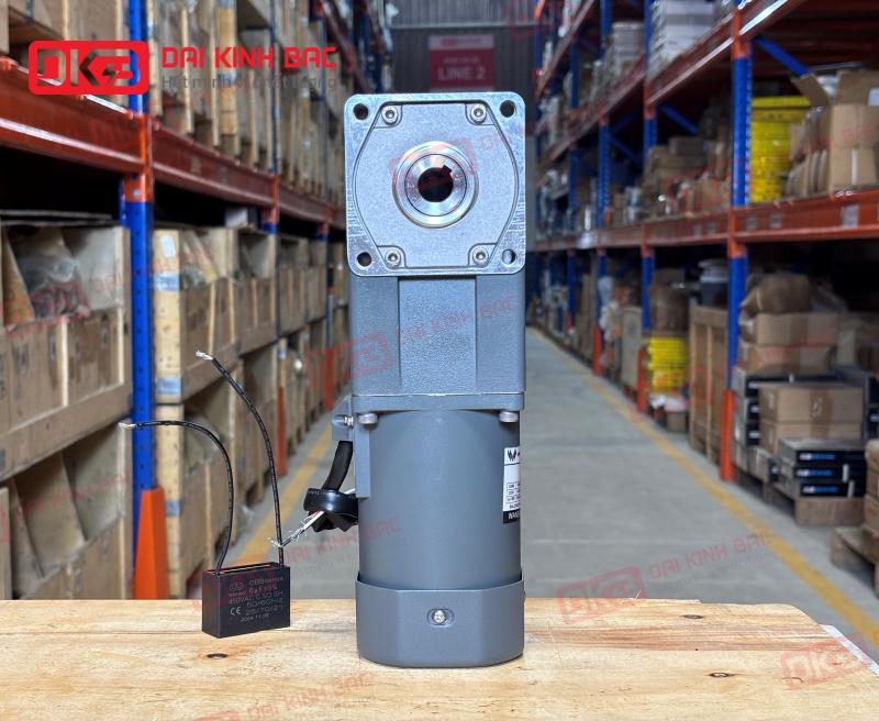 Đầu giảm tốc cốt âm