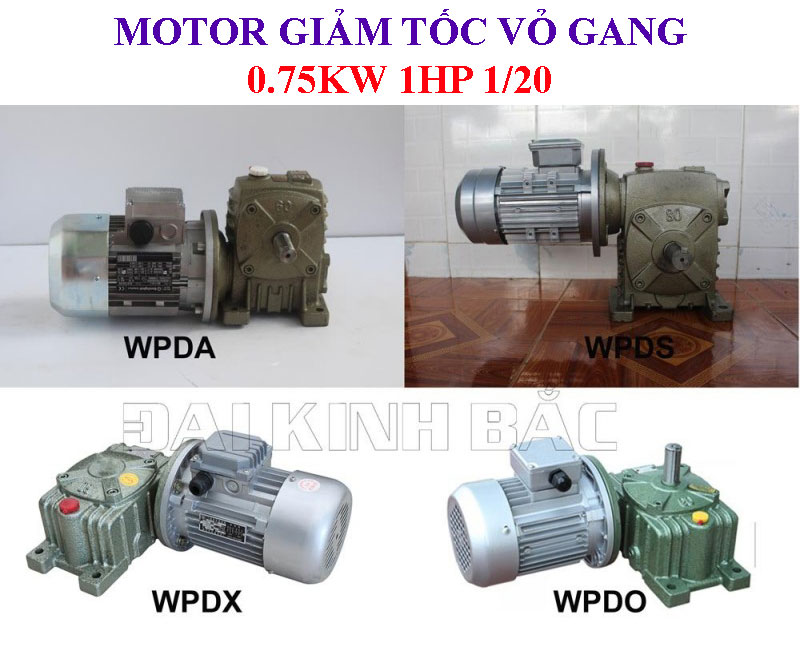 Motor giảm tốc vỏ gang 0.75kw 1HP 1/20