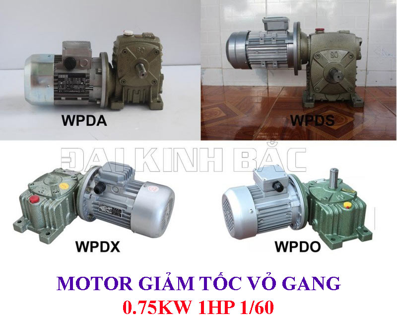 Motor giảm tốc vỏ gang 0.75Kw 1HP 1/60