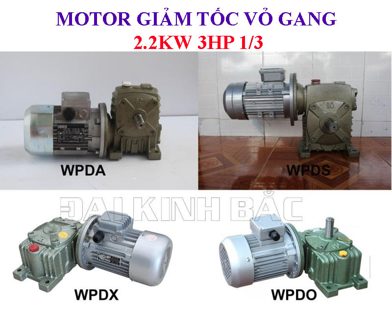 Motor giảm tốc vỏ gang 2.2Kw 3Hp 1/3