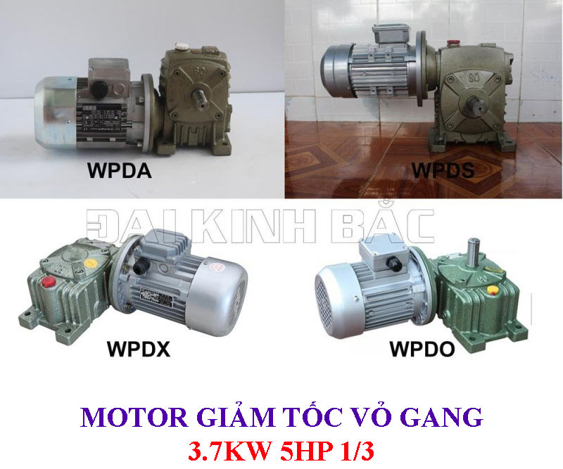 Motor giảm tốc vỏ gang 3.7Kw 5Hp 1/3