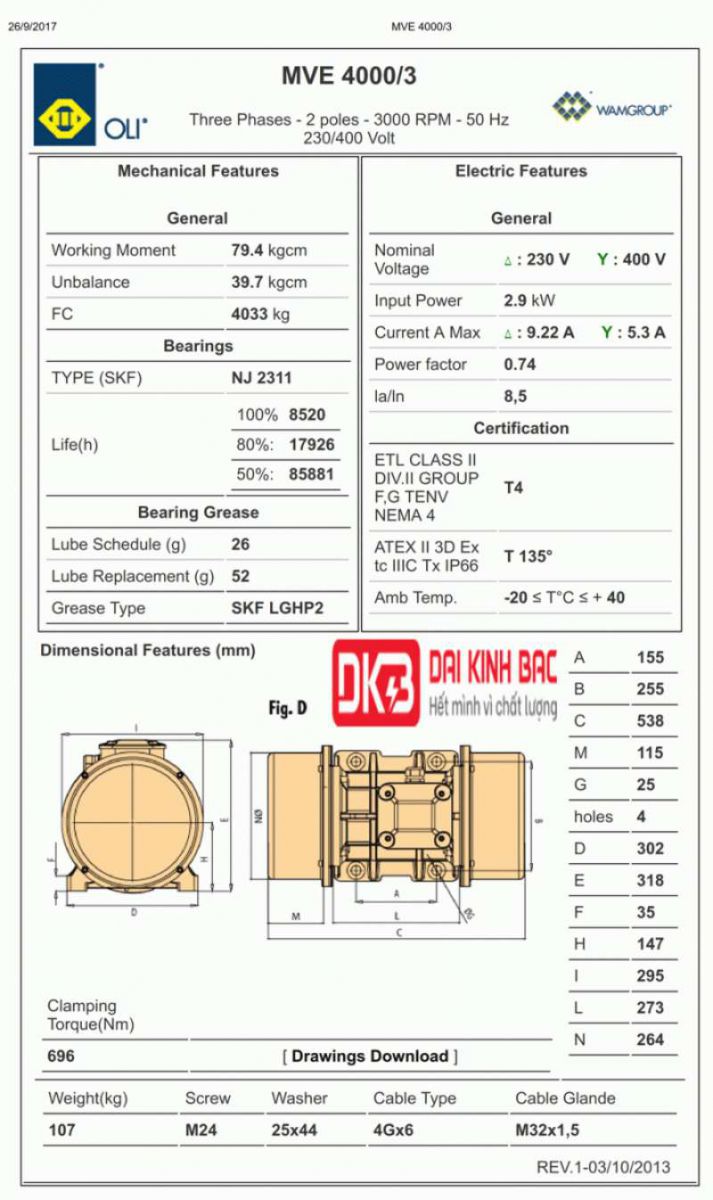 bản vẽ chi tiết động cơ rung oli 2 cực 2.9Kw