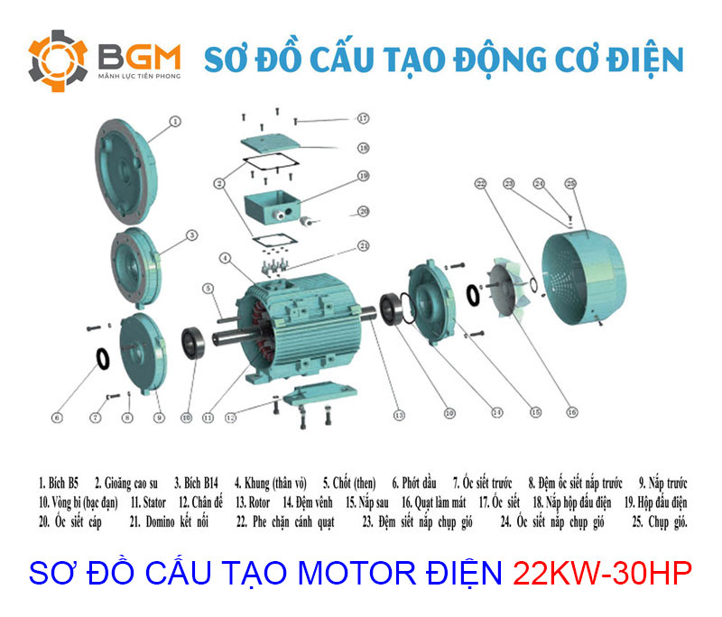 sơ đồ cấu tạo chi tiết của Motor điện 22Kw - 30Hp: