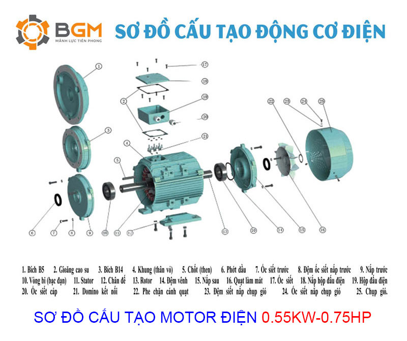 so do cau tao motor 055kw