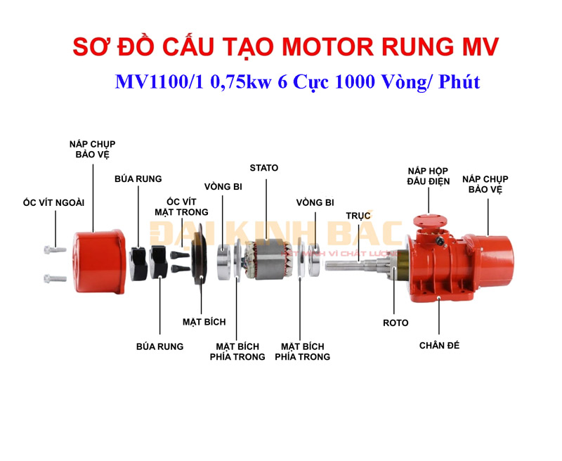 Sơ đồ cấu tạo Motor rung MV1100/1 0.75kw 6 cực 1000 vòng/phút