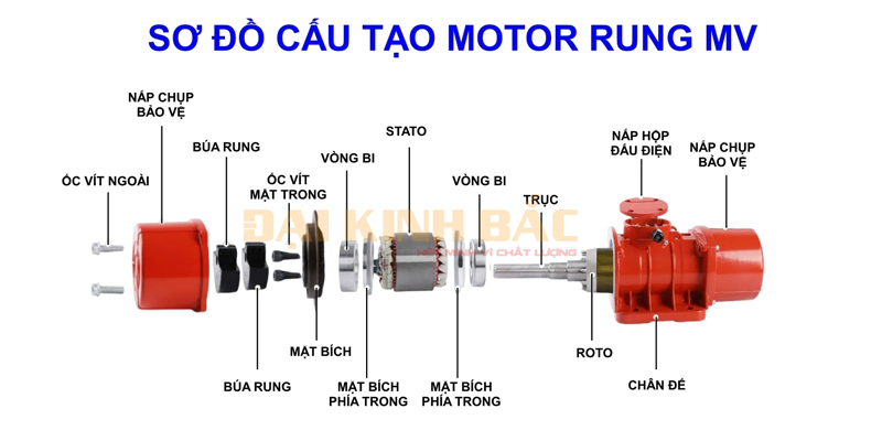 Sơ đồ cấu tạo motor rung MV4000/3 2.9Kw 2 cực ~ 3000v.p