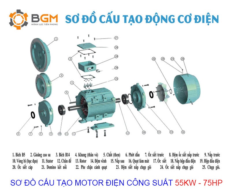  sơ đồ cấu tạo chi tiết của Motor điện 55Kw - 75Hp:
