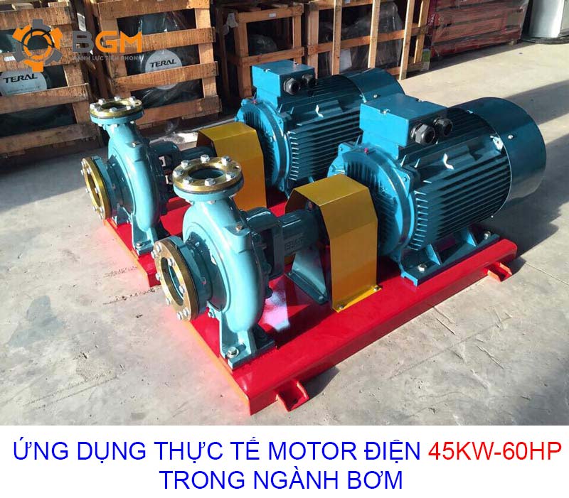 ung dung thuc te motor dien cong suat 45kw 60hp