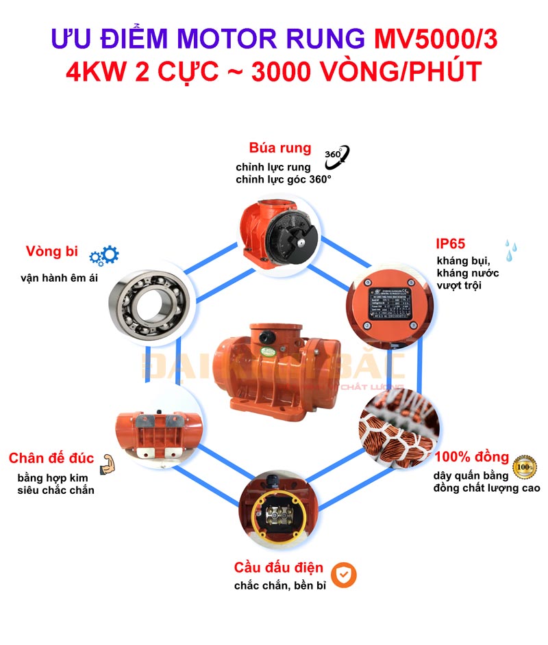 Ưu điểm motor rung MV5000/3 4Kw 2 cực 3000v/p