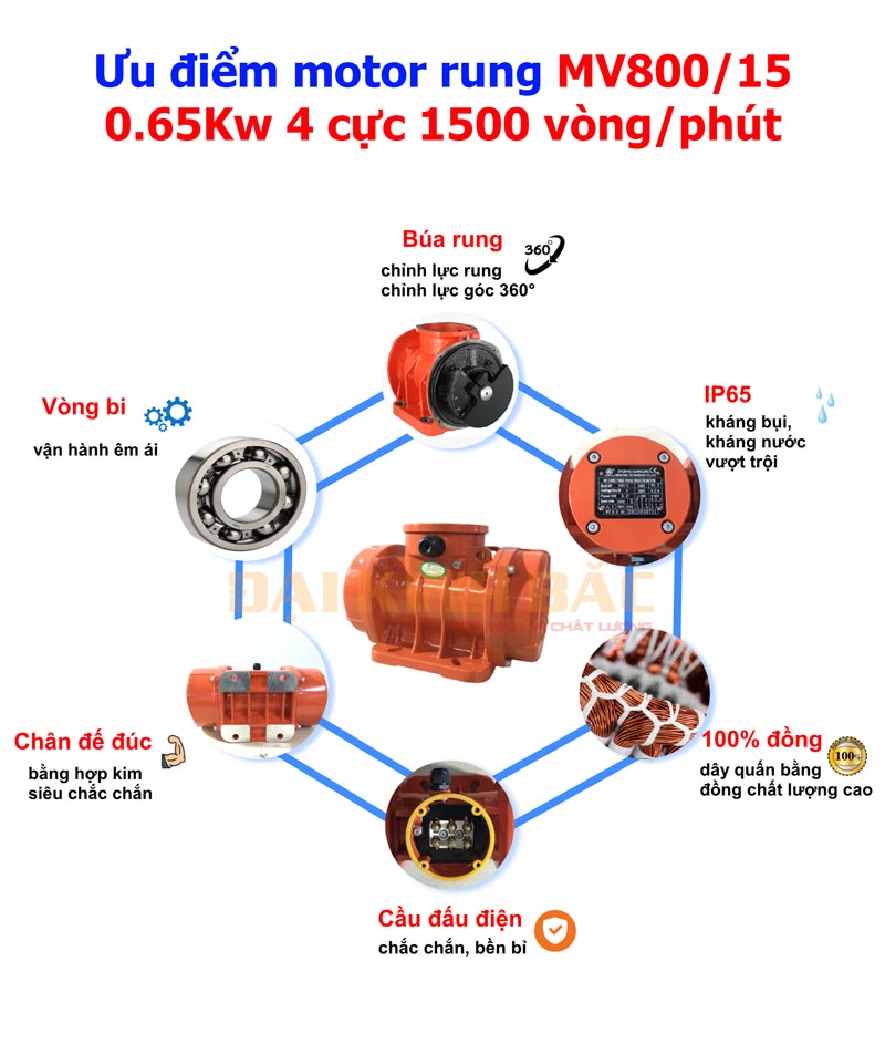 Ưu điểm motor rung MV800/15 0.65KW 4 cực