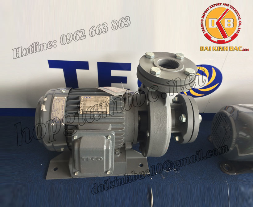 Bơm nước Teco G-320-200-4P-20HP-15KW