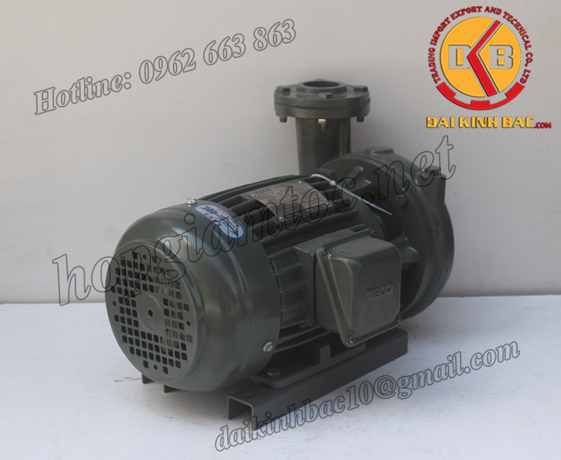 Bơm nước Teco G-325-250-4P-25HP-18.5KW