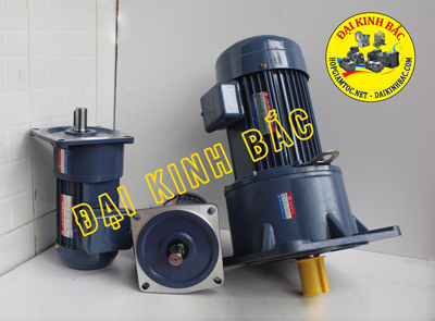 MÔ TƠ GIẢM TỐC MẶT BÍCH