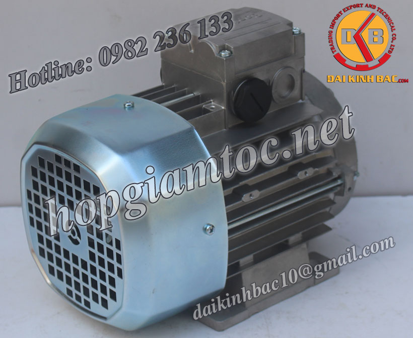 Motor điện Bonfiglioli chân đế 30kw