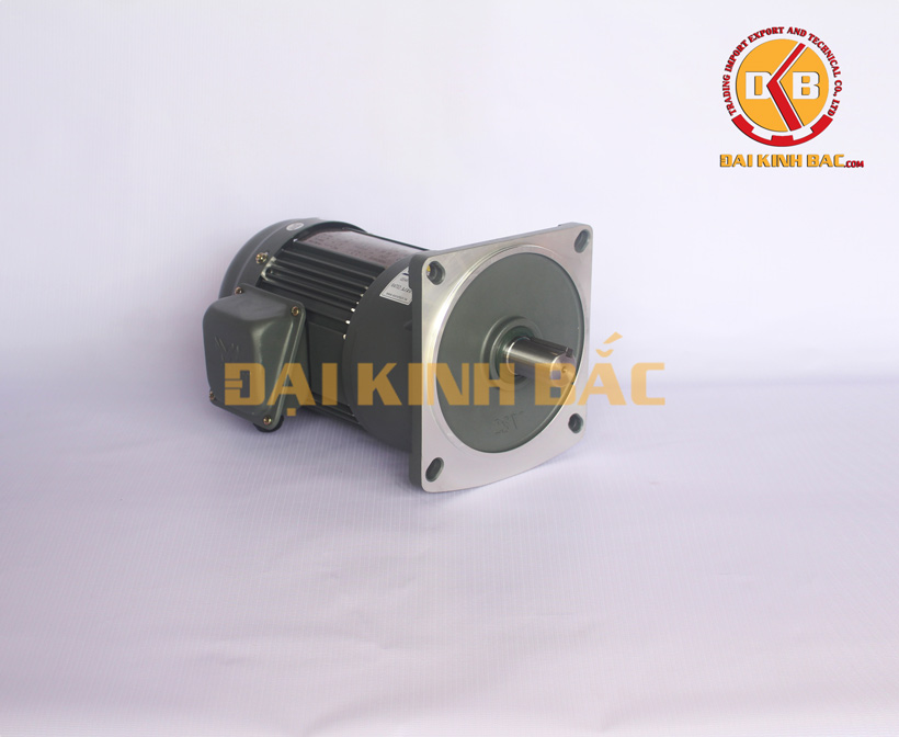 ĐỘNG CƠ GIẢM TỐC 0.2KW 1/4HP MẶT BÍCH