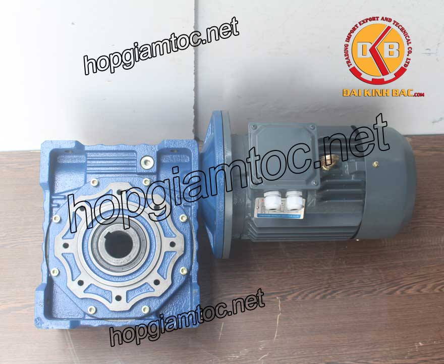 Motor giảm tốc cốt âm 3.7kw 1/25