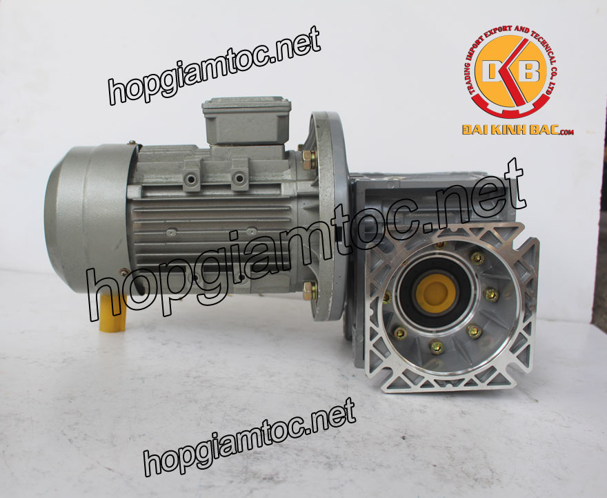 Motor giảm tốc cốt âm 3kw 1/10