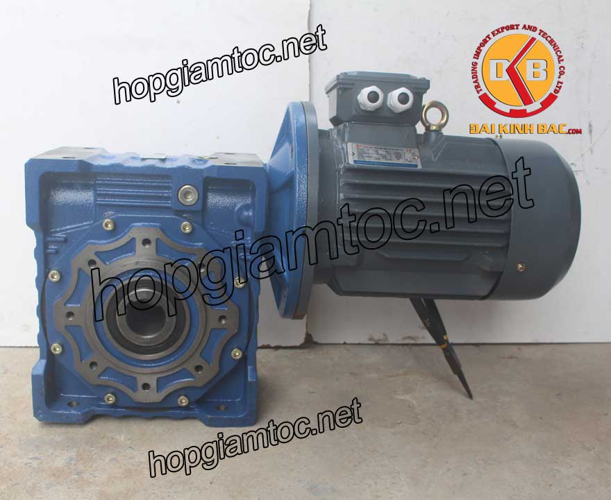 Motor giảm tốc cốt âm 7.5kw 1/10