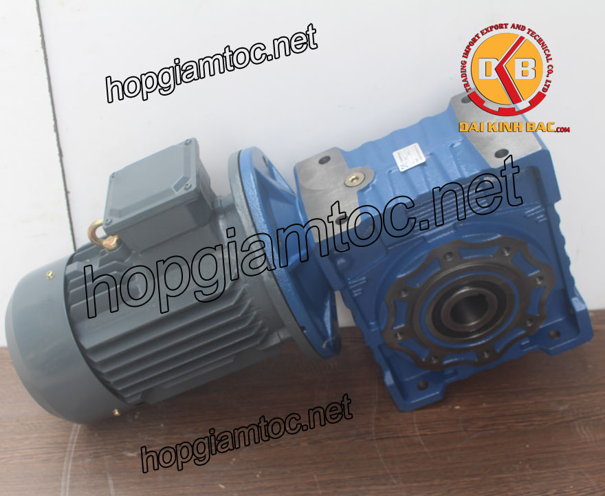 Motor giảm tốc cốt âm 7.5kw 1/40