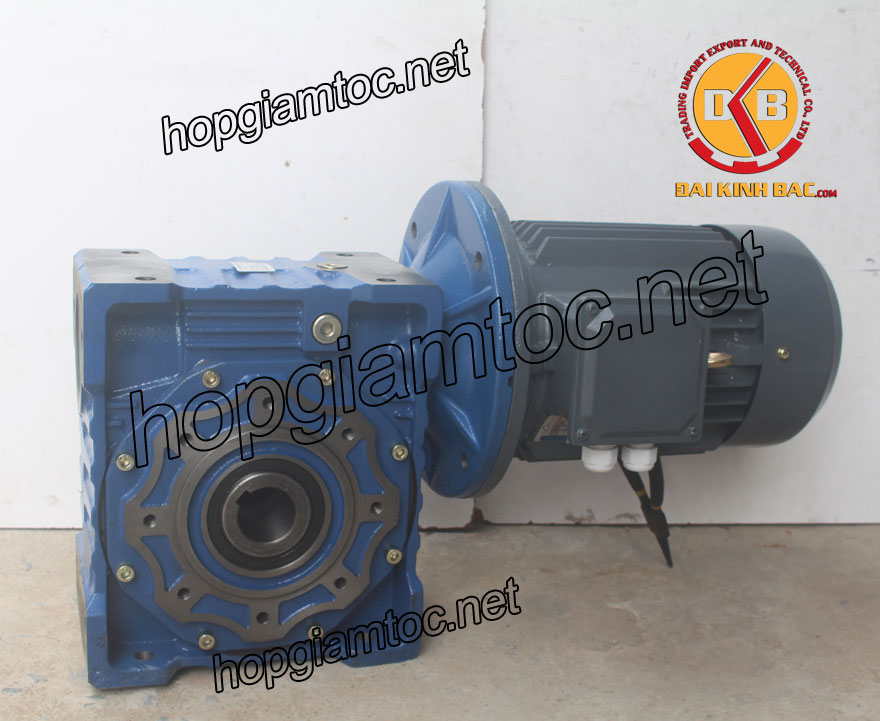 Motor giảm tốc cốt âm 3.7kw 1/30