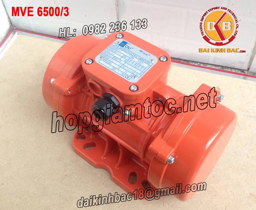 motor-rung-oli-MVE-6500-3