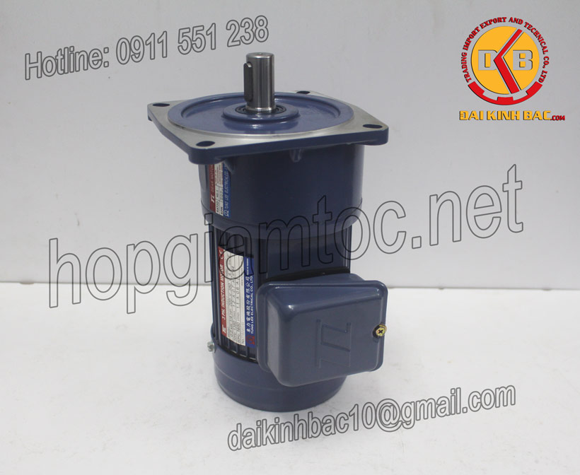 HÌNH ẢNH MOTOR TUNGLEE MẶT BÍCH 0.4KW