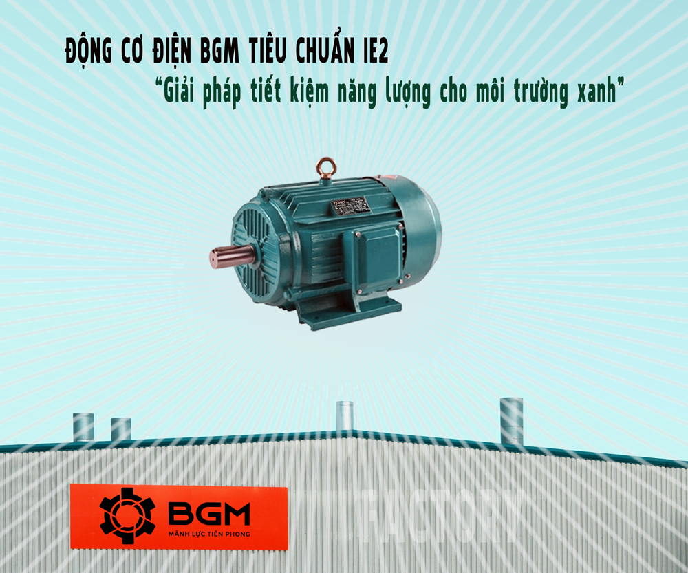 Nhà cung cấp động cơ điện BGM Việt Nam