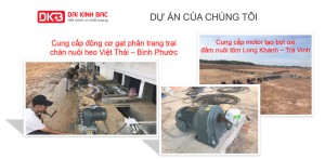 Cung cấp motor giảm tốc cho ngành chăn nuôi Tôm và nuôi Heo