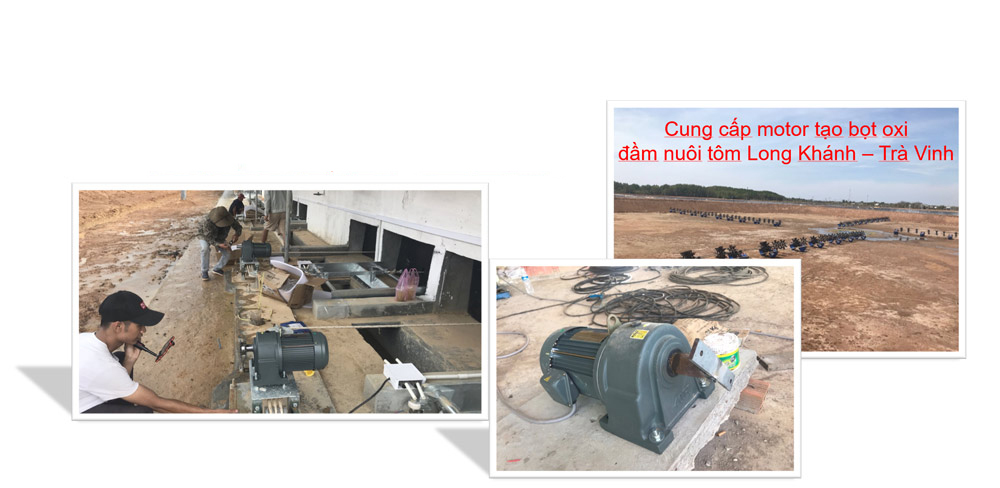 Cung cấp motor giảm tốc cho ngành chăn nuôi Tôm và nuôi Heo