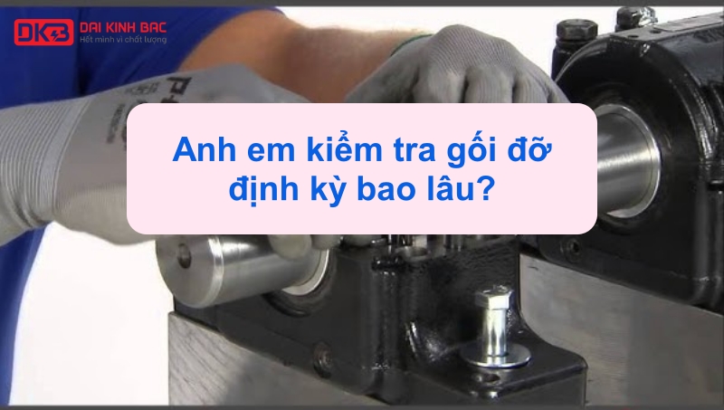 ANH EM KIỂM TRA GỐI ĐỠ ĐỊNH KỲ BAO LÂU?