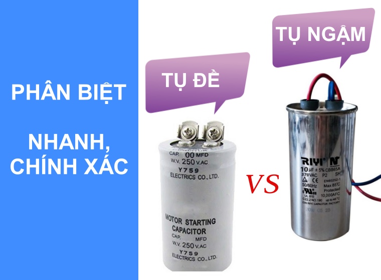 PHÂN BIỆT TỤ ĐỀ VÀ TỤ NGẬM NHANH VÀ CHÍNH XÁC