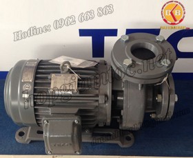 BƠM NƯỚC TECO G-3100-250 4P 100HP 75KW