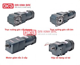 ĐỘNG CƠ GIẢM TỐC TRONG RULO BĂNG TẢI CÔNG NGHIỆP