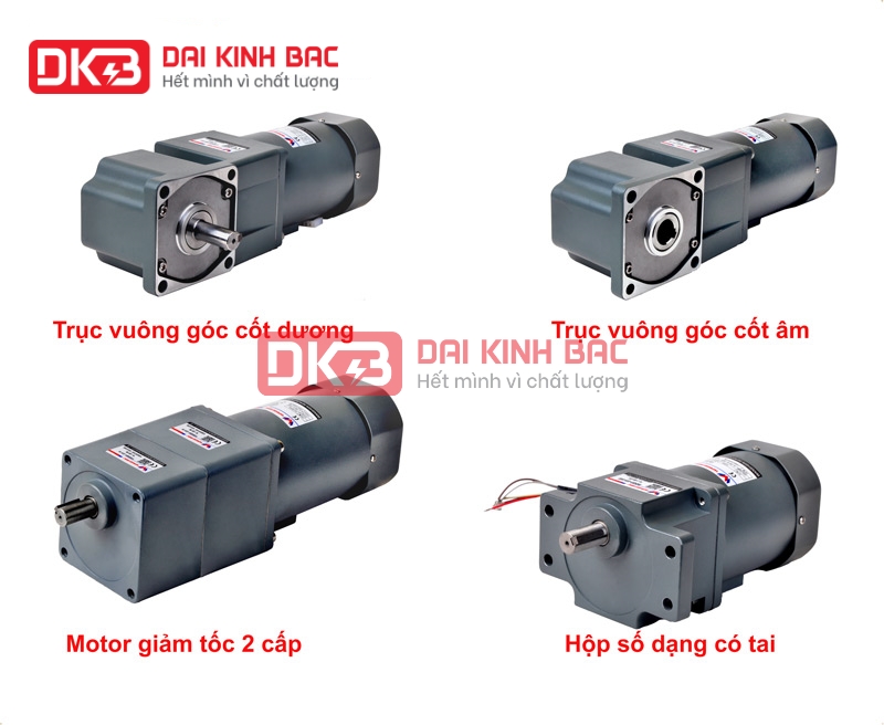 ĐỘNG CƠ GIẢM TỐC TRONG RULO BĂNG TẢI CÔNG NGHIỆP