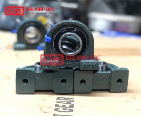 Gối Đỡ UCPA 211