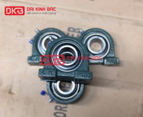 Gối Đỡ UCPA 212
