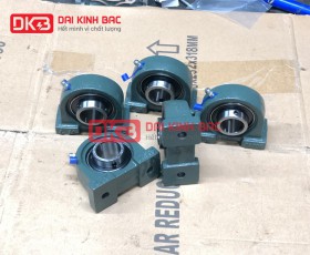 Gối Đỡ UCPA 213