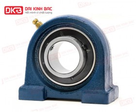 GỐI ĐỠ VÒNG BI SKF UCPA