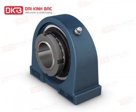 GỐI ĐỠ VÒNG BI SKF UKPA