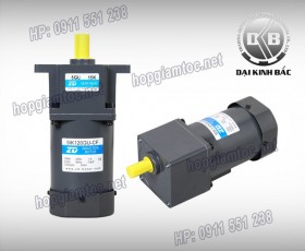 Induction motor 120w 5IK120GU-CF