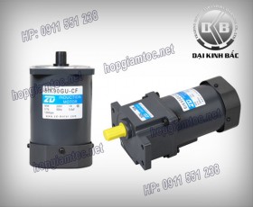 Induction motor 90w 5IK90GU-CF