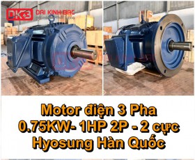 MOTOR ĐIỆN 3 PHA 0.75KW - 1HP 2P 2 CỰC HYOSUNG HÀN QUỐC