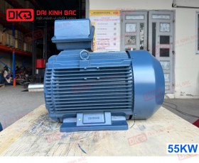 MOTOR ĐIỆN HYOSUNG 55 KW-MOTOR HÀN QUỐC