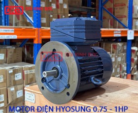 Motor Điện Hyosung IE2 0.75KW-2P-380V-TE-F-IE2