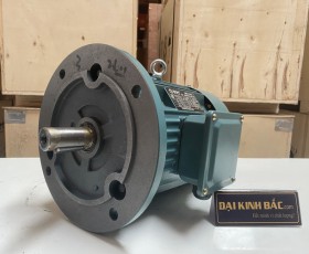 Motor điện YE2-355L-6 250kw IE2, IE3